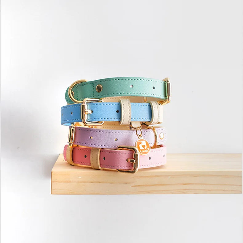 Pastel Pup Leash/Collar Set