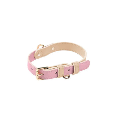 Pastel Pup Leash/Collar Set